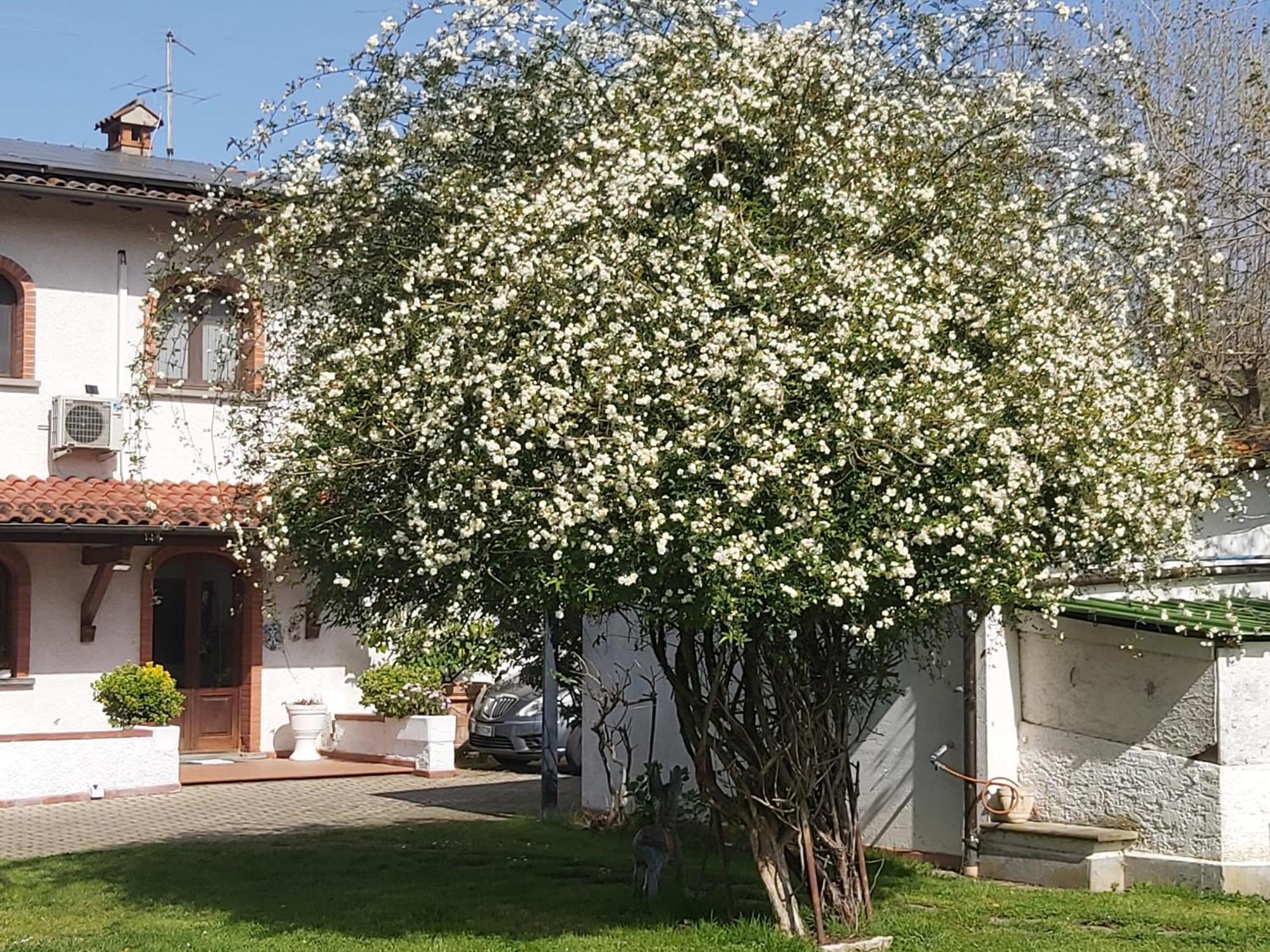 Villa Fioccomare 카마이오레 외부 사진