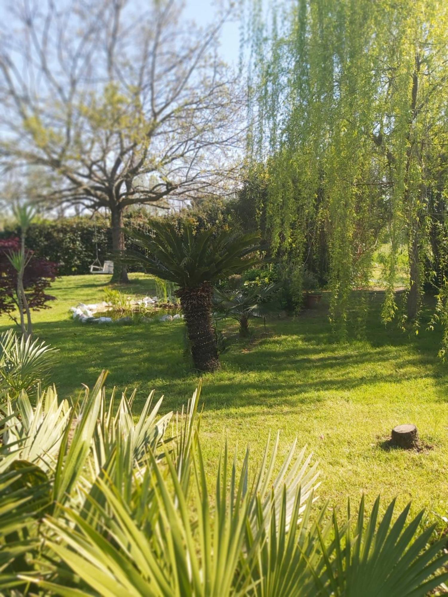 Villa Fioccomare 카마이오레 외부 사진